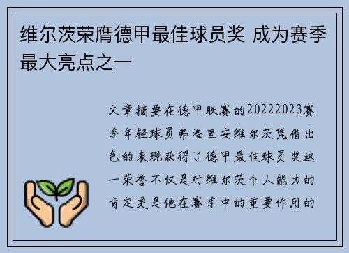 维尔茨荣膺德甲最佳球员奖 成为赛季最大亮点之一